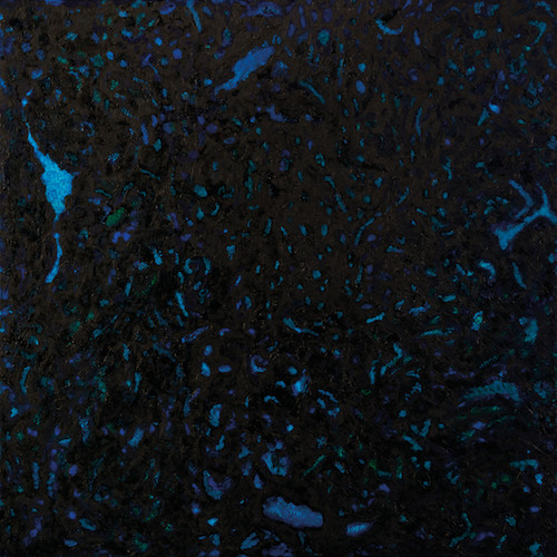 Zenker Brothers - Immersion | Ilian Tape (ITLP01)