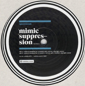 Spectrasoul - Mimic | Subtitles (subtitles073) - 3