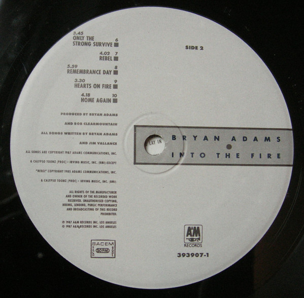 Bryan Adams - Into The Fire | A&M Records (LP 393907-1) - 4