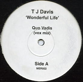 TJ Davis - Wonderful Life | Melting Pot Records (MER002)