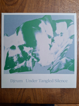 DJ Rum - Under Tangled Silence | Houndstooth (HTH180)
