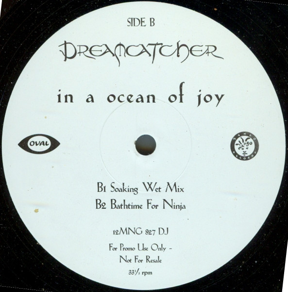 Dreamcatcher - In A Ocean Of Joy | Mango (12 MNG 827 DJ) - 3