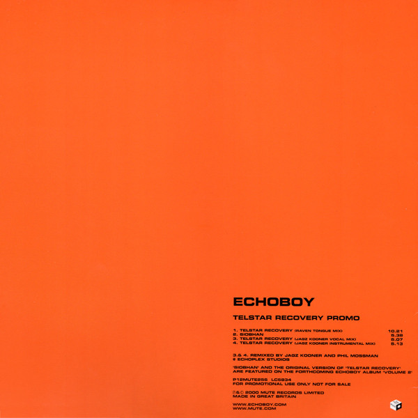Echoboy - Telstar Recovery | Mute (P12MUTE256)