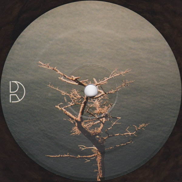 Nocow - Iles | Dynamic Reflection (DREFLTD003) - main Nocow - Iles | Dynamic Reflection (DREFLTD003) - main