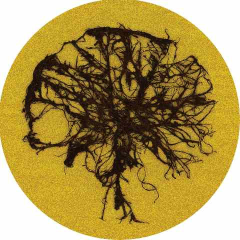 Dave Hughes - From The Beginning EP | Palette Recordings (PAL056) - 2