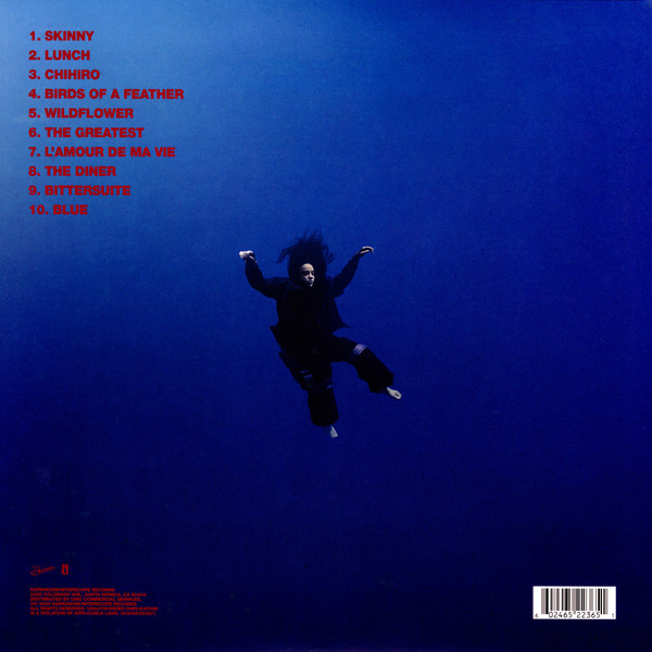 Billie Eilish - Hit Me Hard And Soft | Darkroom (602465223651) - 3 Billie Eilish - Hit Me Hard And Soft | Darkroom (602465223651) - 3