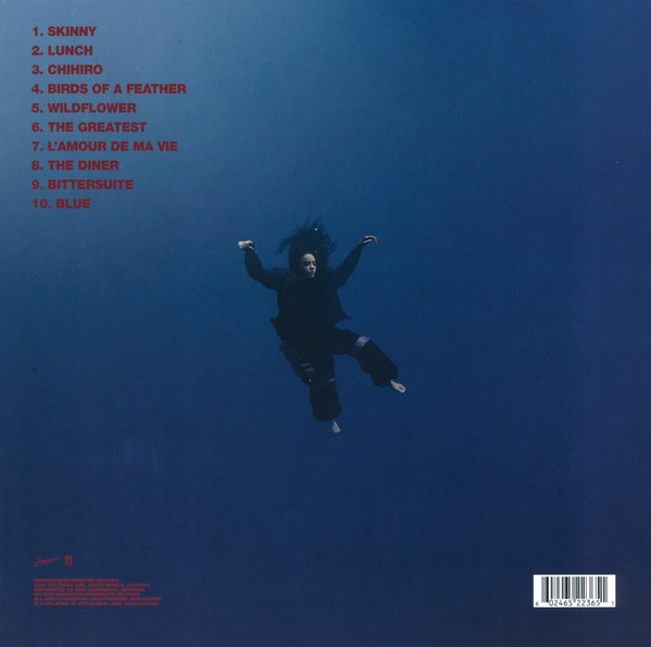 Billie Eilish - Hit Me Hard And Soft | Darkroom (602465223651) - 3 Billie Eilish - Hit Me Hard And Soft | Darkroom (602465223651) - 3