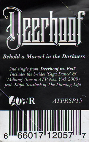 Deerhoof - Behold A Marvel In The Darkness | ATP Recordings (ATPRSP15) - 3