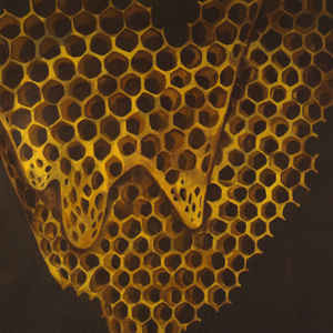 Telefon Tel Aviv - Map Of What Is Effortless | Hefty Records (HEFTY042)