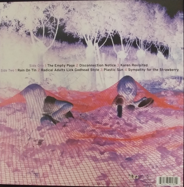 Sonic Youth - Murray Street | DGC (00602547491824) - 2
