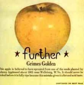 Further - Grimes Golden | Runt (runt07) - main Further - Grimes Golden | Runt (runt07) - main