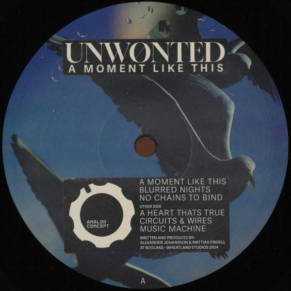 Unwonted - A Moment Like This | Analog Concept (ANCPT010)