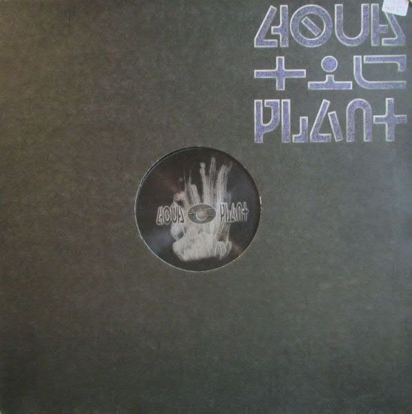 DJ Tattoo - Luxury | Aquatic Plant (800904)