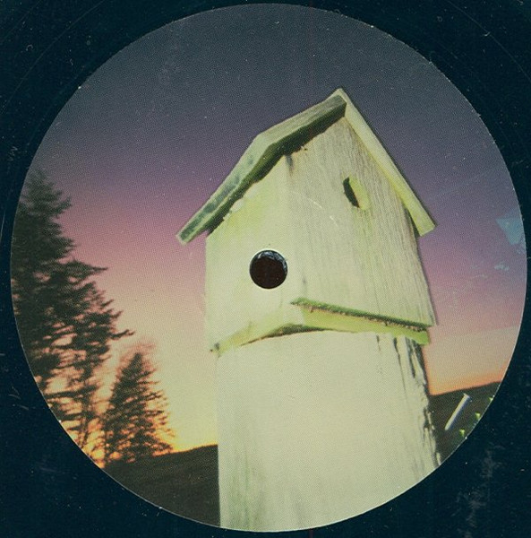 Tranquility Bass - The Bird | Astralwerks (ASW-6139) - 2