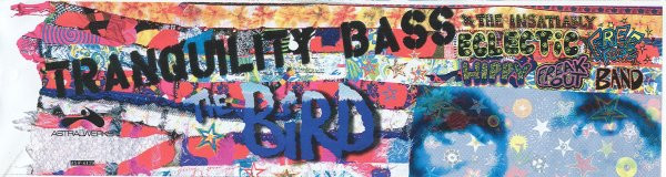Tranquility Bass - The Bird | Astralwerks (ASW-6139)
