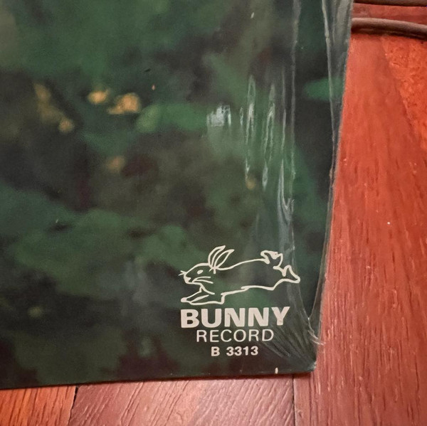 Lina Santoro - Il Mio Concerto | Bunny Record (B 3313) - 3
