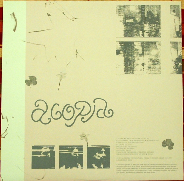 Acopia - Chances | Companion (CMPN002) - 4 Acopia - Chances | Companion (CMPN002) - 4
