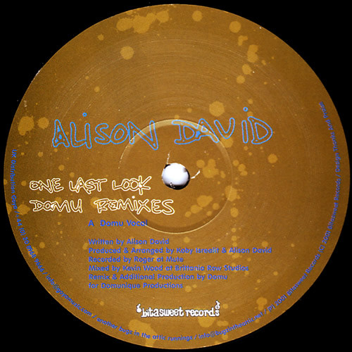 Alison David - One Last Look (Domu Remixes) | Bitasweet (BS1213) - main