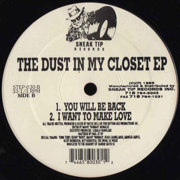 Wayne Rollins - The Dust In My Closet EP | Sneak Tip Records (STEP-030) - 3
