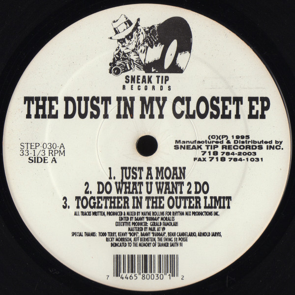 Wayne Rollins - The Dust In My Closet EP | Sneak Tip Records (STEP-030) - 2