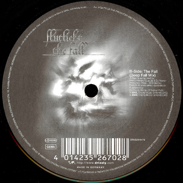 Flutlicht - The Fall | Drizzly (DRIZ2019-72) - 3