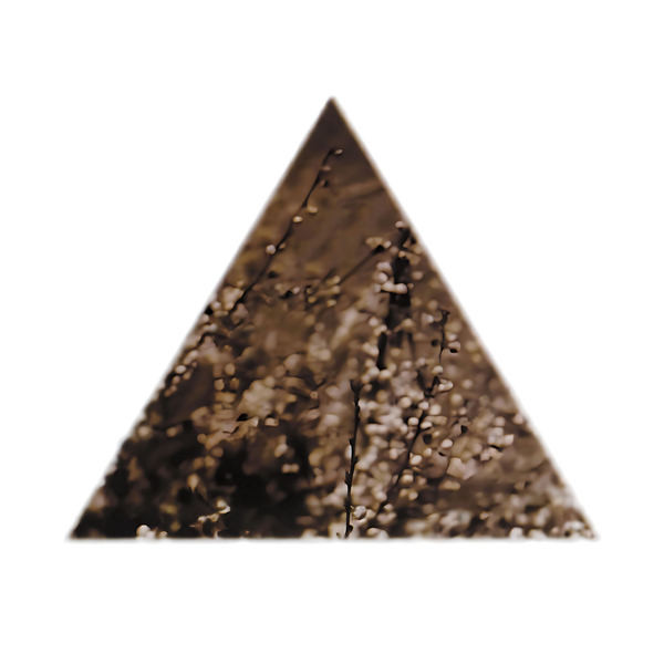 Terre Thaemlitz - Soil (30th Anniversary Edition) | Comatonse Recordings (C.037) - main