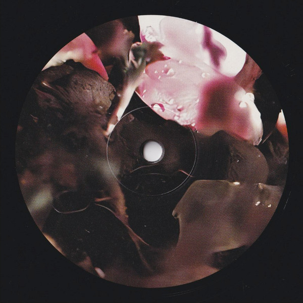 Terre Thaemlitz - Soil (30th Anniversary Edition) | Comatonse Recordings (C.037) - 4