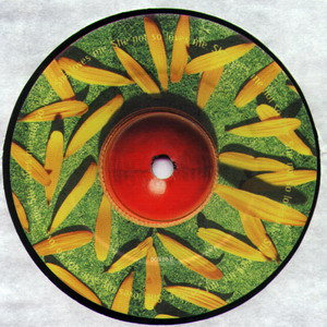 Wubble-U - Petal | Indolent Records (DGOL003T) - 4