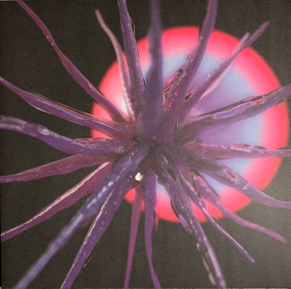 Agonis - Neutropia | amenthia recordings (AMEN009)