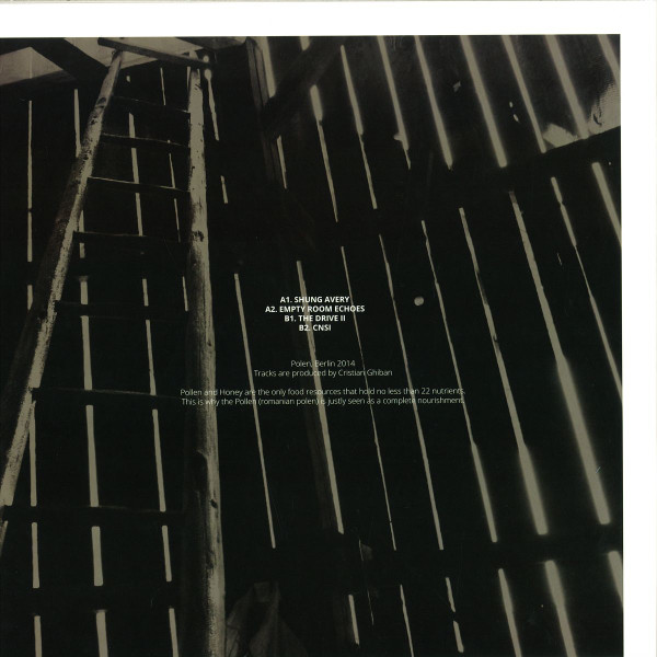 Inner - Shung Avery EP | Polen (Pol003)