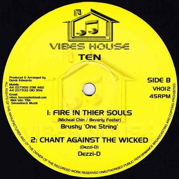 Dezzi D / Brushy One String - We Should Be Living In Unity / Fire In Thier Souls | Vibes House (VH012) - 2