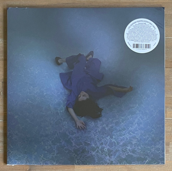 Lucrecia Dalt - ¡Ay! | Rvng Intl. (RVNGNL85) - main