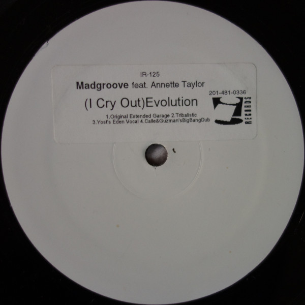 Madgroove - (I Cry Out) Evolution | i! Records (IR-125)