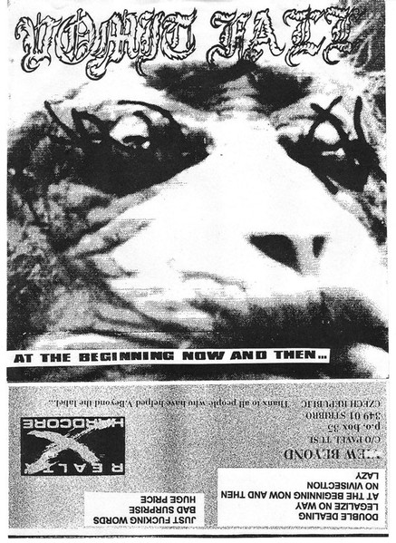 Vomit Fall - At The Beginning Now And Then... | View Beyond Records (none) - 2