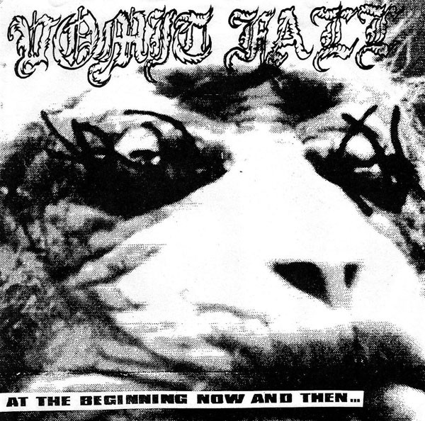 Vomit Fall - At The Beginning Now And Then... | View Beyond Records (none) - main