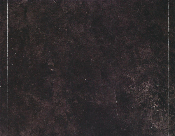 The Earls Of Leicester - The Earls Of Leicester | Rounder Records (0888072357723) - 4 The Earls Of Leicester - The Earls Of Leicester | Rounder Records (0888072357723) - 4