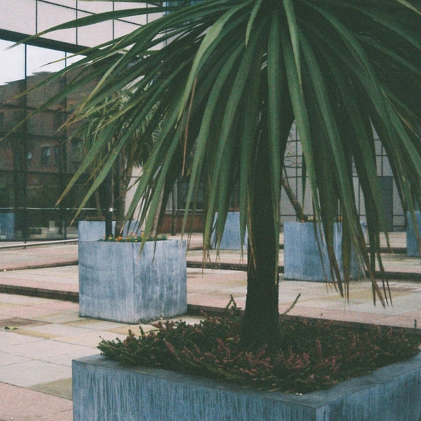 The Marx Trukker - Among Climetree Harbors | Noorden (TwelveOne)