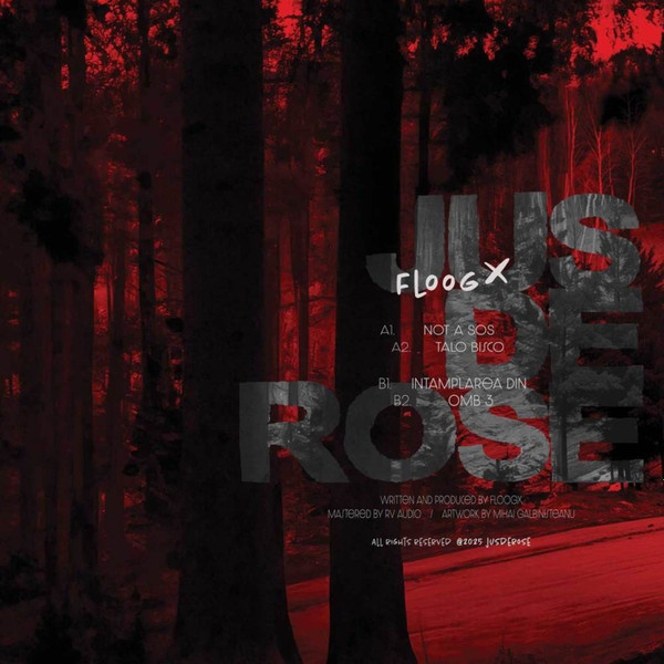 Floog - Not A SOS | Jus De Rose (JDR001) - 2 Floog - Not A SOS | Jus De Rose (JDR001) - 2