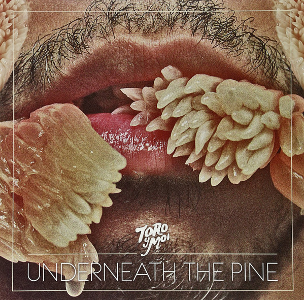 Toro Y Moi - Underneath The Pine | Carpark Records (CAK59)