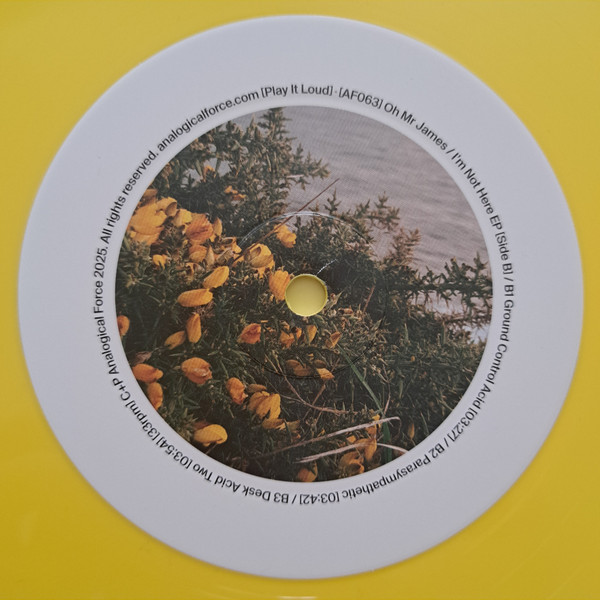 Oh Mr James - I'm Not Here EP | Analogical Force (AF063) - 4 Oh Mr James - I'm Not Here EP | Analogical Force (AF063) - 4