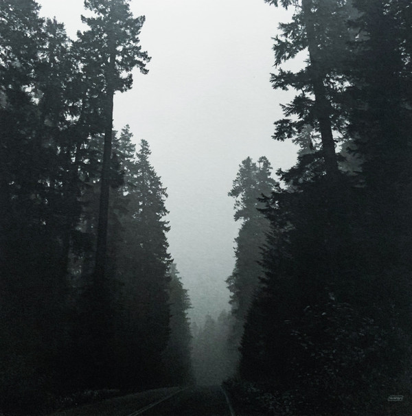 Grouper - Shade | Kranky (krank 233) - 2