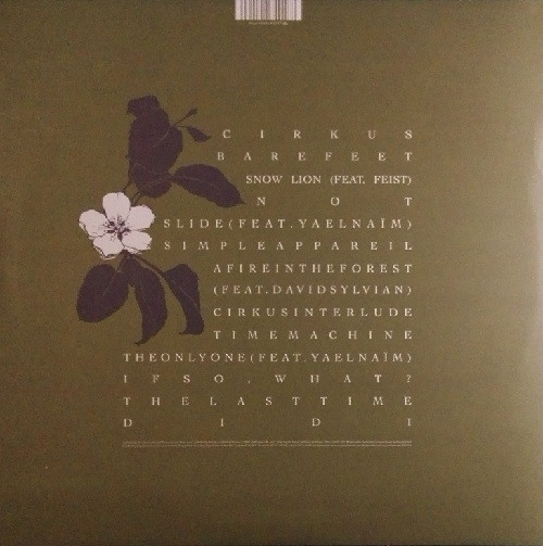 Ready Made - Babilonia | Peacefrog Records (PFG074) - 2
