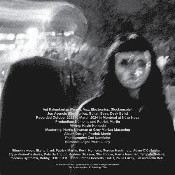Nümonia - The Age of Nümonia [Vinyl] | LeBackstore (BCK-LP-11) - 4