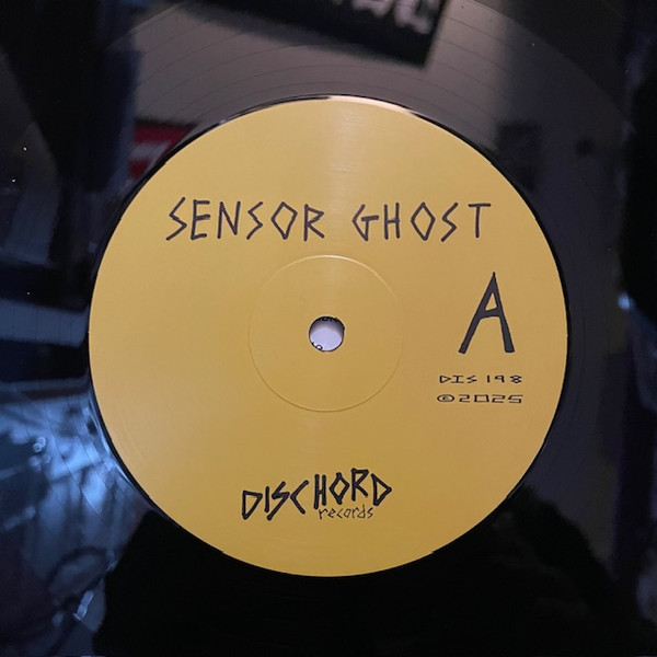 Sensor Ghost - Irritation On Demand | Dischord Records (DIS 198) - 4 Sensor Ghost - Irritation On Demand | Dischord Records (DIS 198) - 4