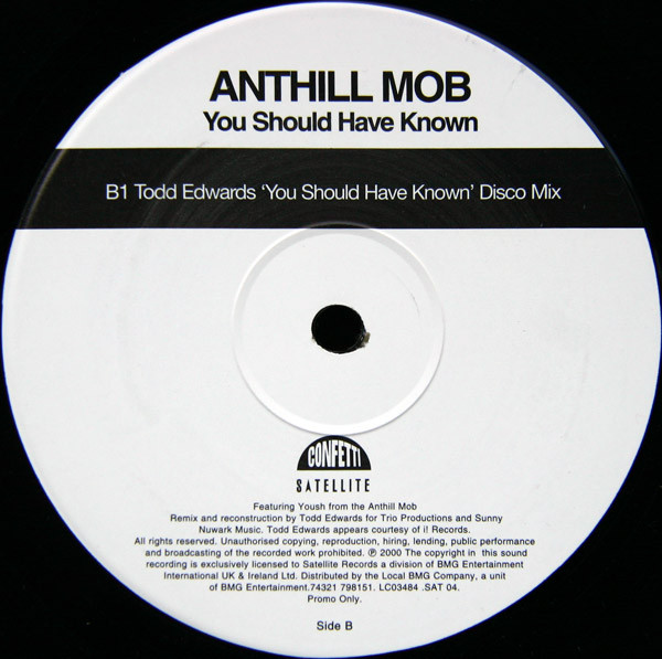 You Should Have Known (Todd Edwards Remixes)