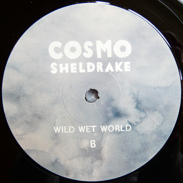 Cosmo Sheldrake - Wild Wet World | Tardigrade Records (none) - 4 Cosmo Sheldrake - Wild Wet World | Tardigrade Records (none) - 4