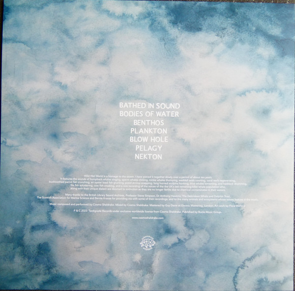 Cosmo Sheldrake - Wild Wet World | Tardigrade Records (none) - 2 Cosmo Sheldrake - Wild Wet World | Tardigrade Records (none) - 2