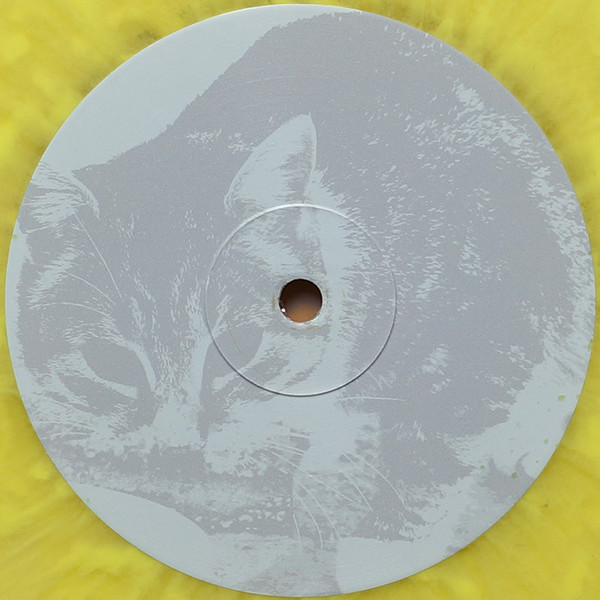 Silver Apples - Beacon | Chicken Coop Recordings (CCRLP004COL) - 4