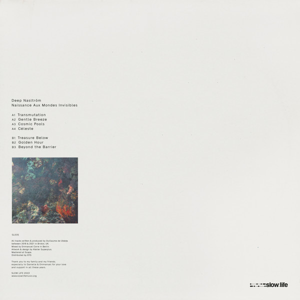 Deep Nalström - Naissance Aux Mondes Invisibles | SLOW LIFE (SL035) - 2 Deep Nalström - Naissance Aux Mondes Invisibles | SLOW LIFE (SL035) - 2