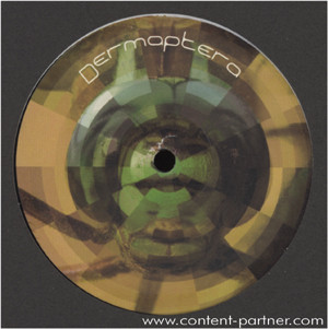 Dermaptera - Dermaptera 2 | Dermaptera (Dermaptera02) - main Dermaptera - Dermaptera 2 | Dermaptera (Dermaptera02) - main